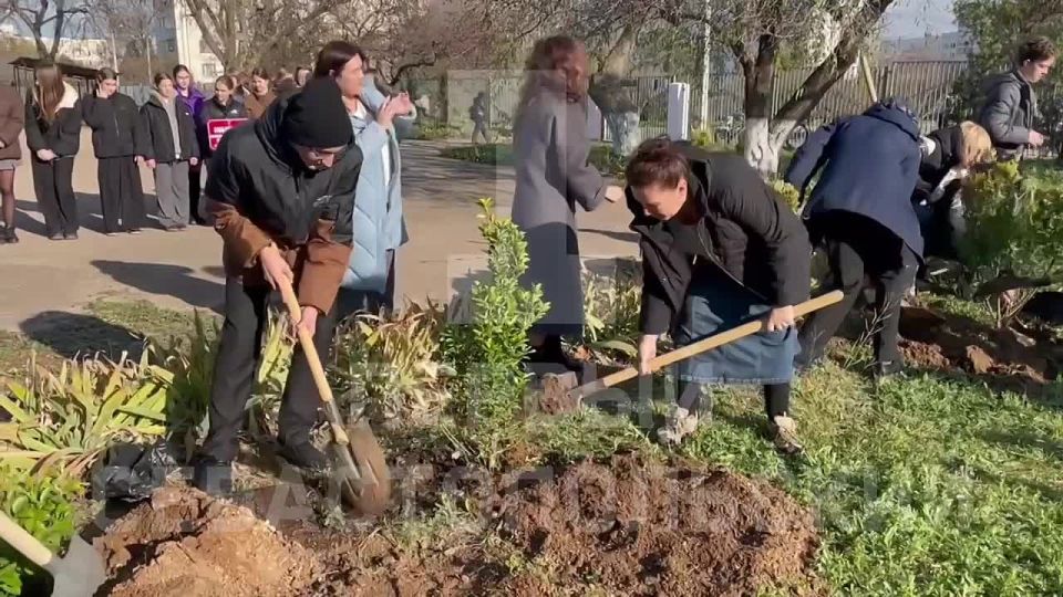 �� ���������� ��������������� ����� �15 �������� 9 ������ ����������