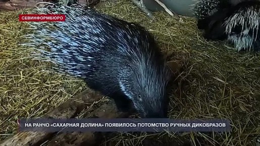 �� ����� ��������� ������ ������� �������� � � ��������� �� �����