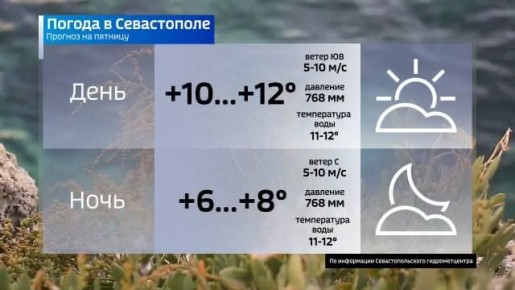 ������� ������ �� �������. ����� �����������: Telegram | MAX