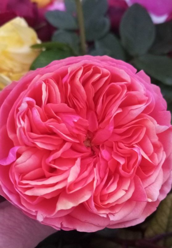 � ������ �����, ������!. � ����������� 20 ������� ���������� ����������