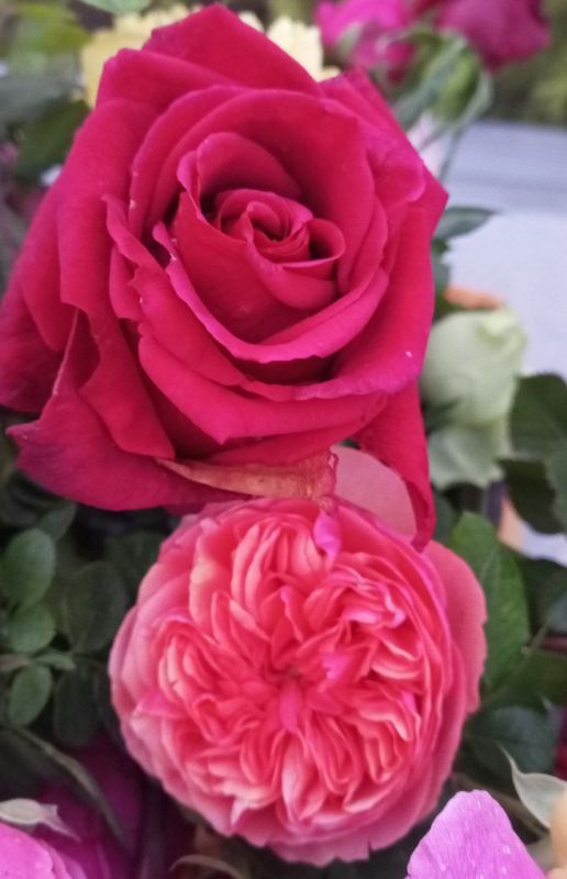 � ������ �����, ������!. � ����������� 20 ������� ���������� ����������