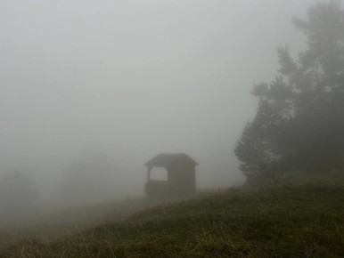 ��� ������������� �� ��������� ��������� � ����������� ��-�� ������