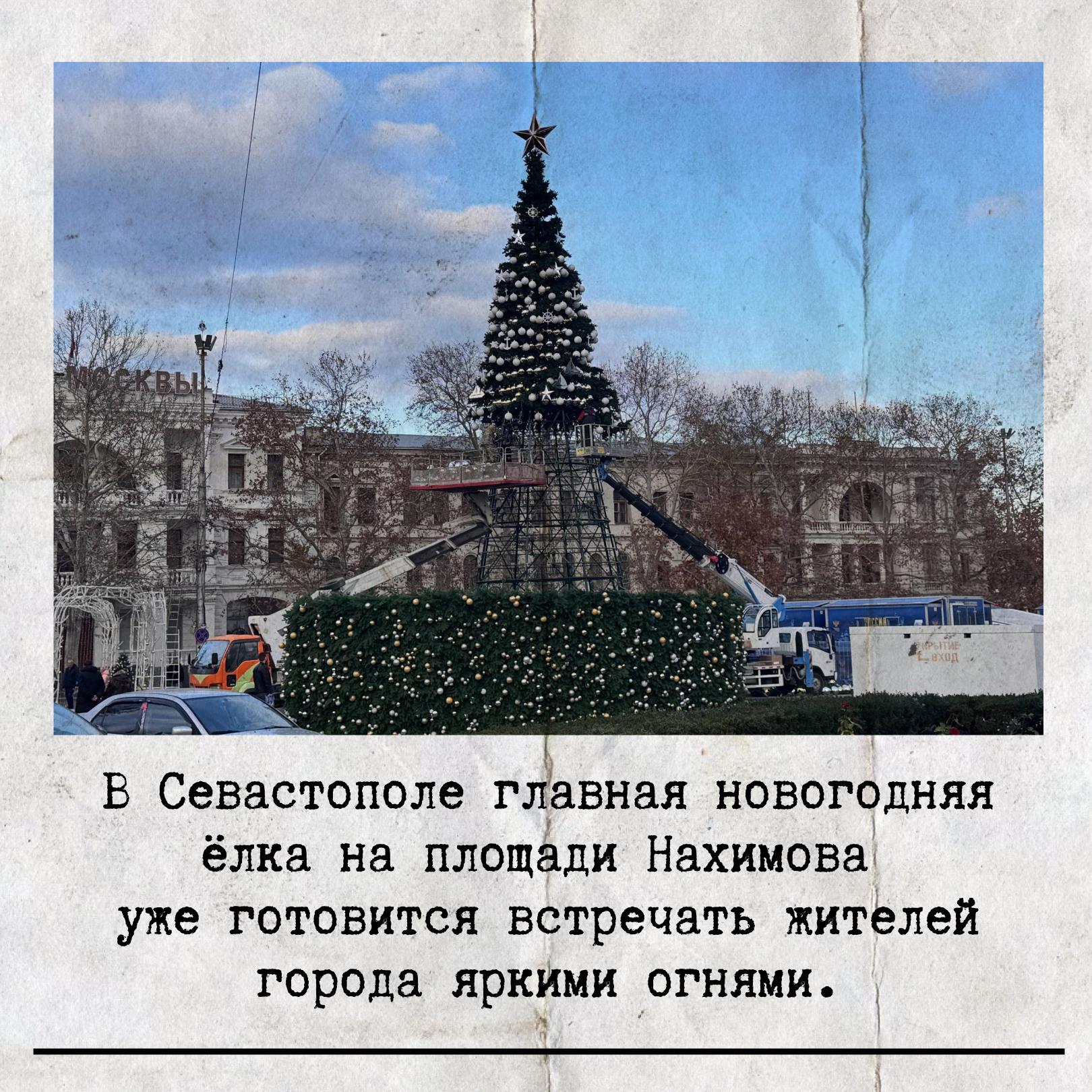 20 декабря — День рождения новогодней ёлки! 20 декабря — День рождения новогодней ёлки!