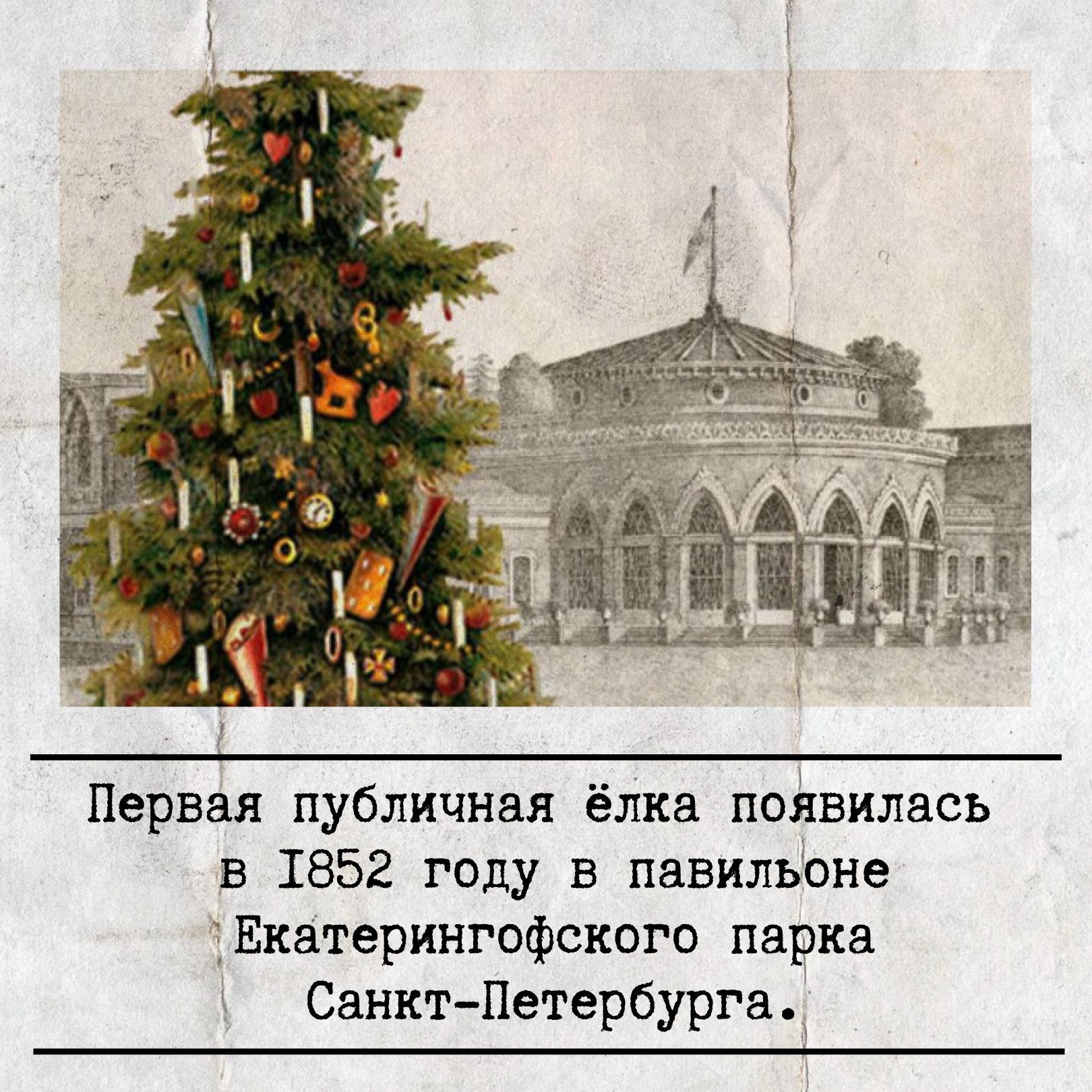20 декабря — День рождения новогодней ёлки! 20 декабря — День рождения новогодней ёлки!