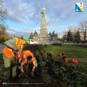 ������� ��-��������������: �� ����������� ����� �������� �������