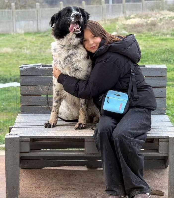 ������� ���� ����. ��������� ���������� �� ���������� ���� ����� ���������� � ������� ����� �������