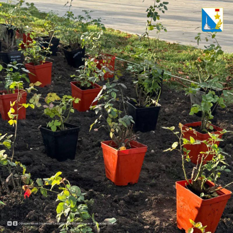 � ������������� ������ �������� �������