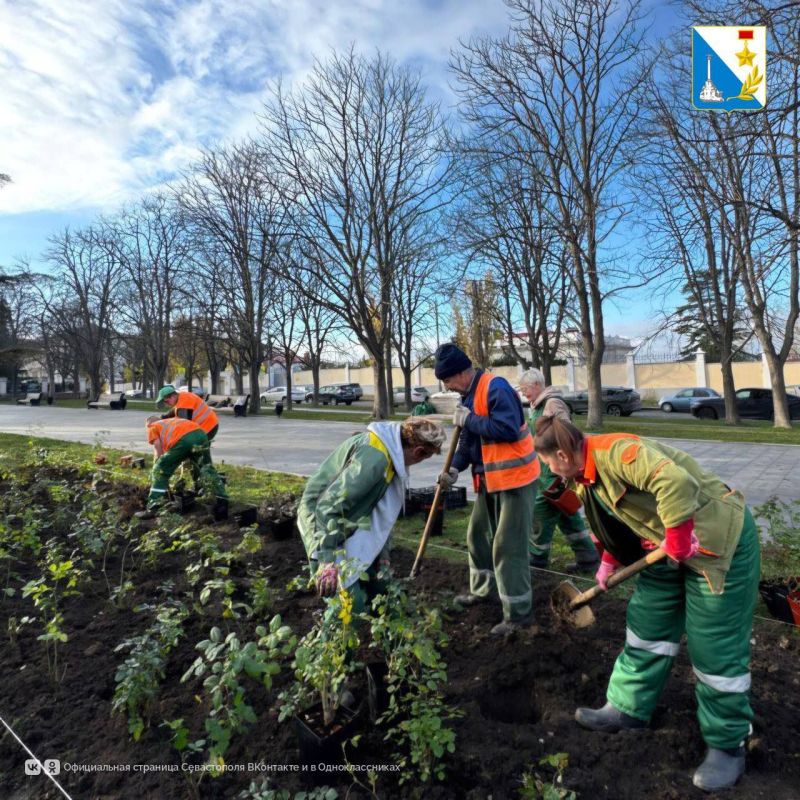 � ������������� ������ �������� �������