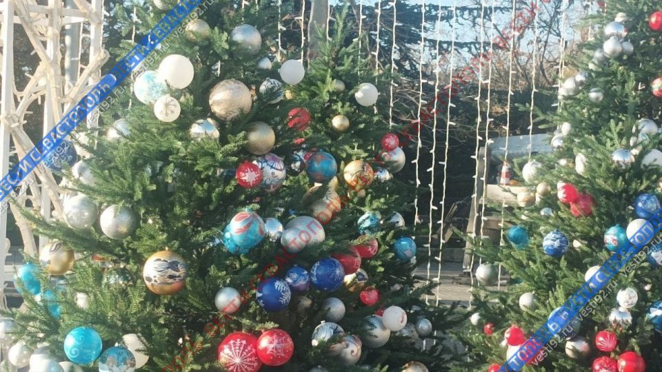 ����������� ���� �� ������� �������� ������ �������� ���������������