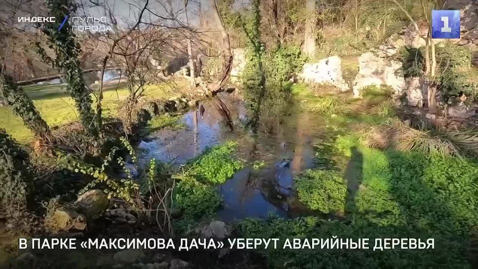 �� ���������� ��������� ������� ������������� �������� ���������� ���� ������� ������� � ��������� �������