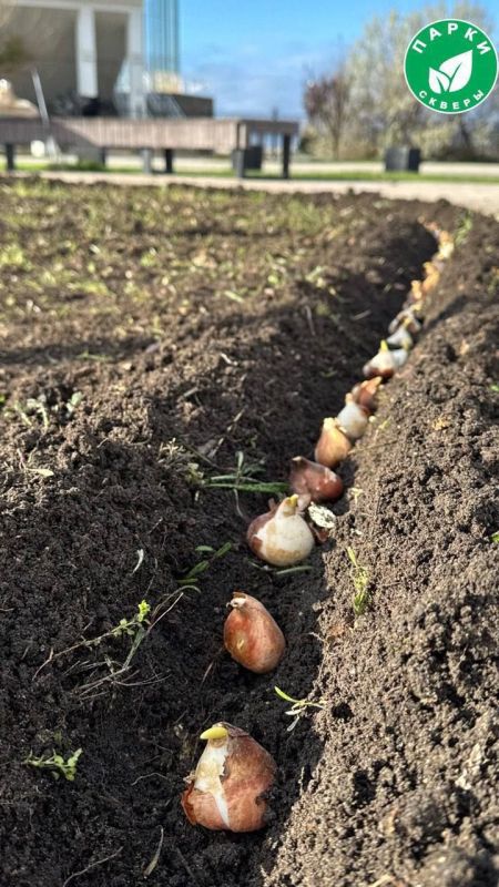 � ����� ������ �� ���������� �������� ��������