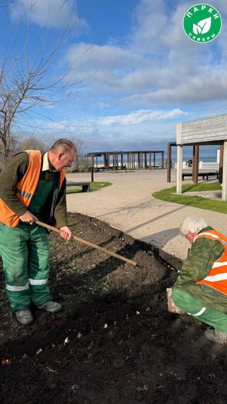 � ����� ������ �� ���������� �������� ��������