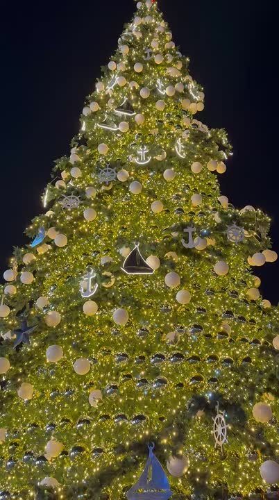 ������� ���� ����������� ���������� ��������� ��������� ������� � ������� ��������������