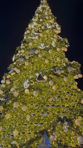 ������� ���� ����������� ���������� ��������� ��������� ������� � ������� ��������������