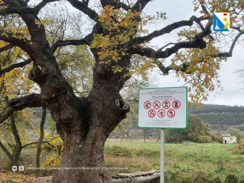 ��������� ������� ����������� ���������� ����� �������������� ����� �� ���������� �����������