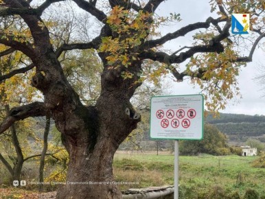 ��������� ������� ����������� ���������� ����� �������������� ����� �� ���������� �����������