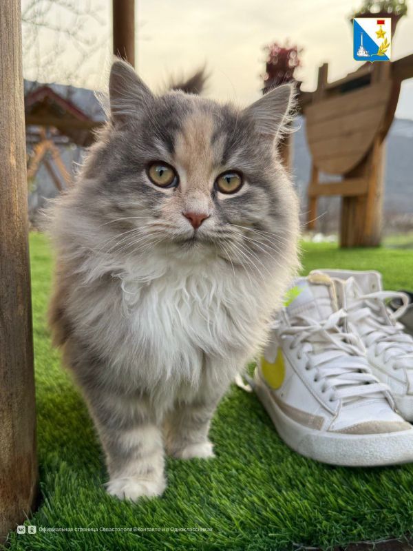 ����� 100 �������� �������� ��������� ������� �� ��������� �� ��������