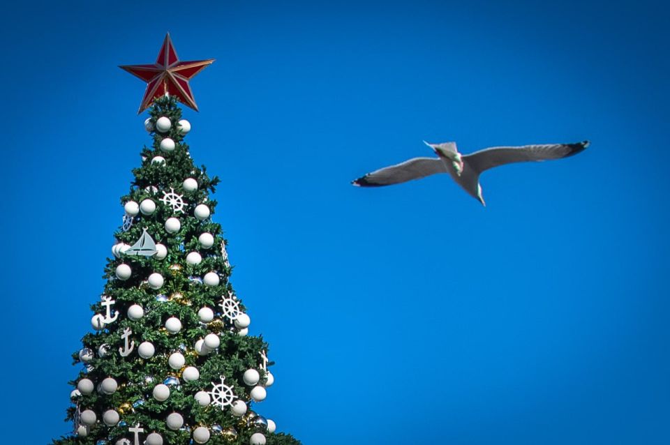 ������� ���� ����������� ���������� ��������� ��������� ������� � ������� ��������������