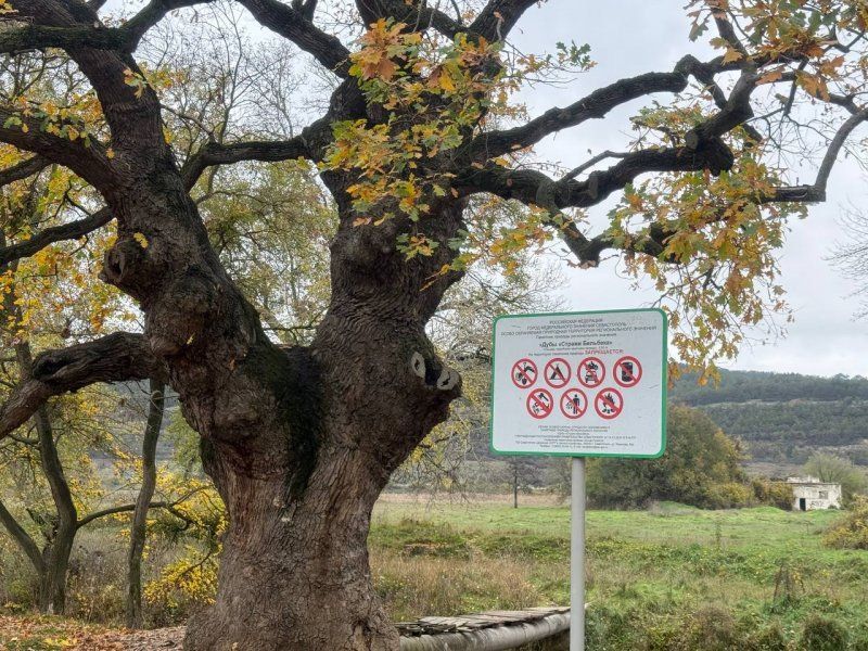 ����������� ����������������� ��������� ��������� �������������� ������