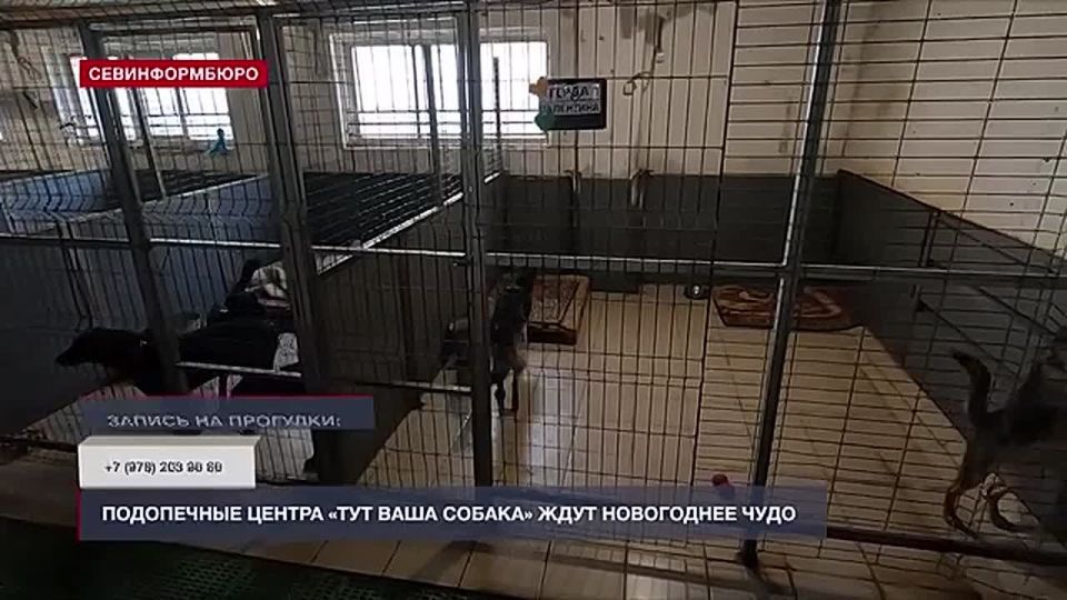 ���������� ������ ���� ���� ������ � �������� ����������� ����