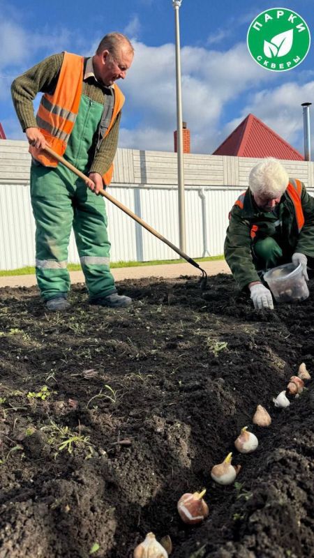 � ����� ������ �� ���������� �������� ��������