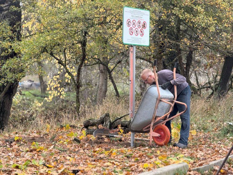 ����������� ����������������� ��������� ��������� �������������� ������