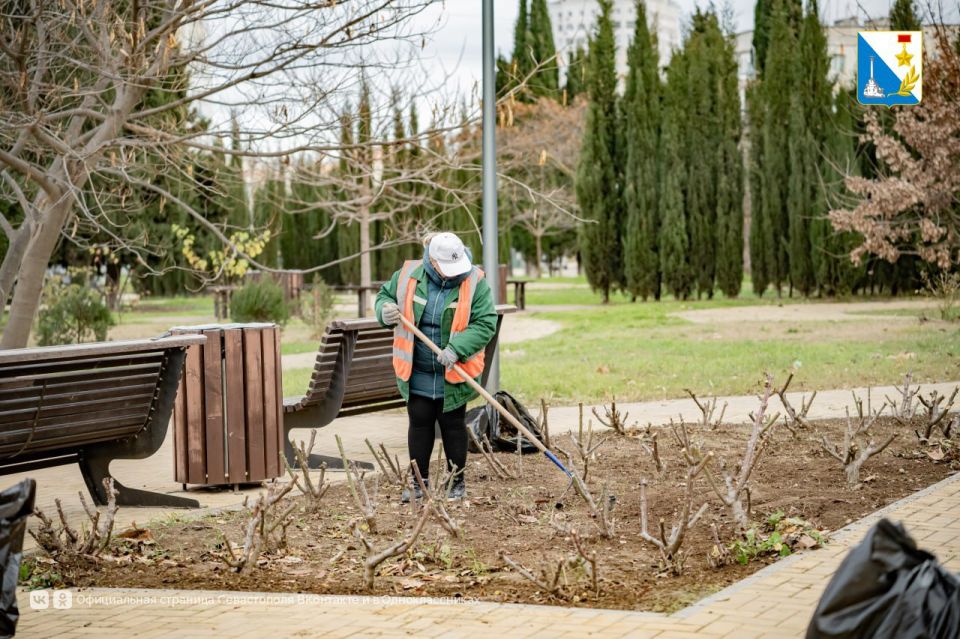 Специалисты «Парков и скверов» готовят городские розарии к зиме