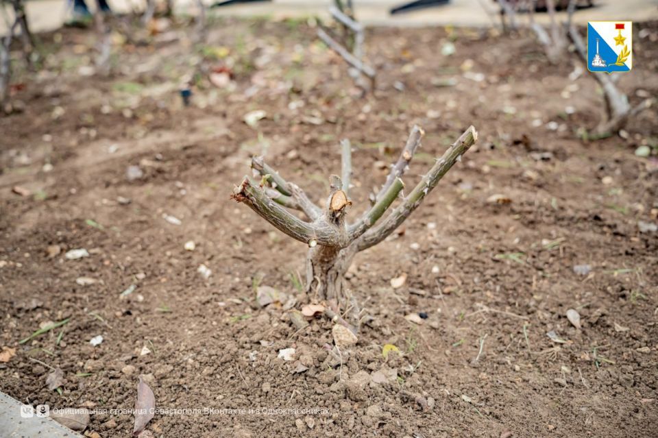 ����������� ������� � ������� ������� ��������� ������� � ����