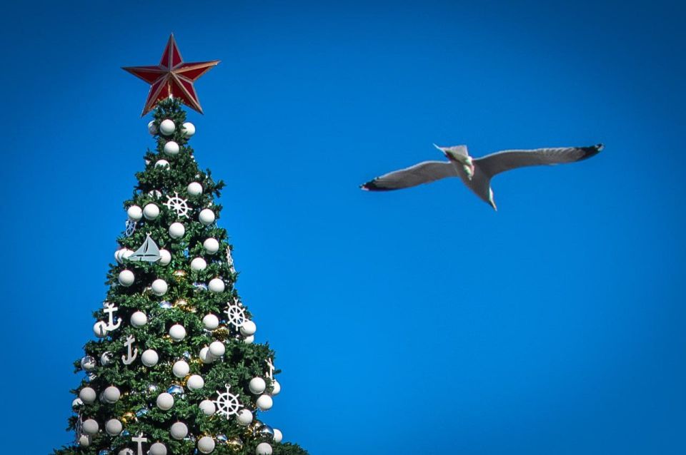 � ����������� �� ������� �������� ���������� ����� ����