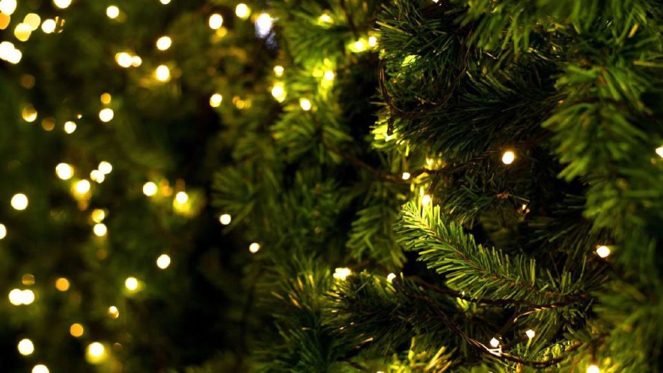 Электробезопасность в праздничные дни