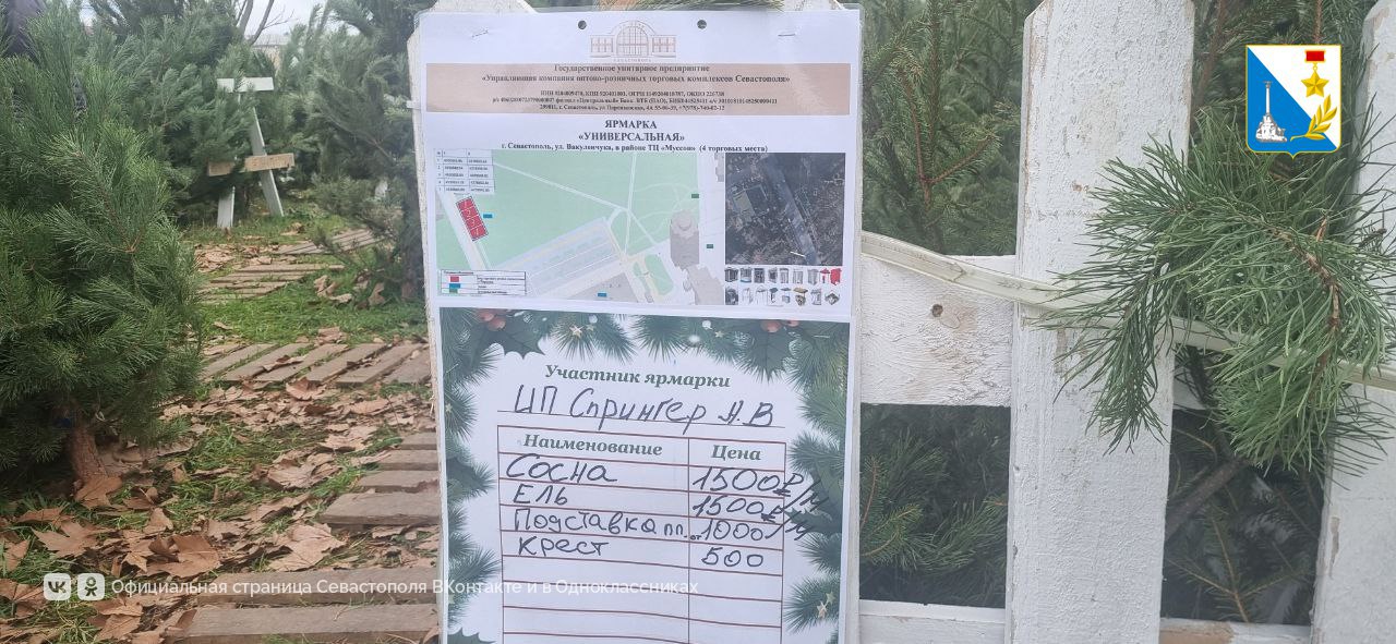 В Севастополе начали работу 20 официальных ёлочных базаров В Севастополе начали работу 20 официальных ёлочных базаров