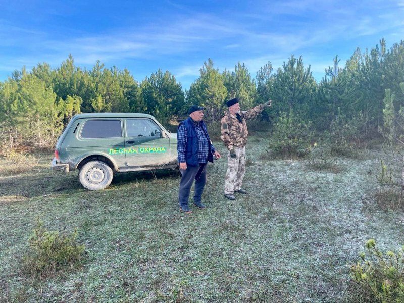 � ����������� ���������� ���������� ��������������� �������� ����������� ����, ���������� �������� ������ ���������� ������� � �������������� ������