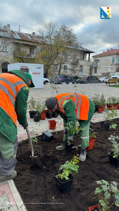 ����������� ������� � ������� ������� ����� ������� � ������ ��������