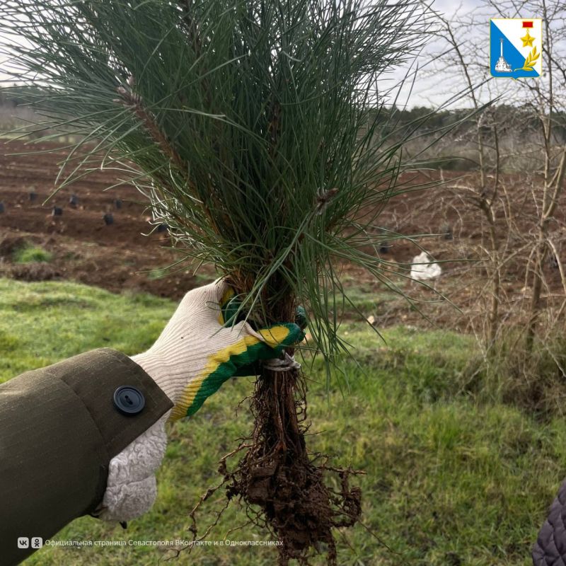 � ��������������� ����������� �������� ����� ��� ����� ������� �������� �����