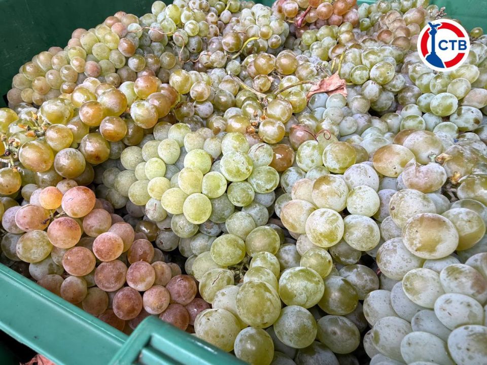 � 2025 ���� 30 �������������� � �������������� ����������� ����������� �������� ������������ �� ����� ����� � 740 ��������� ������