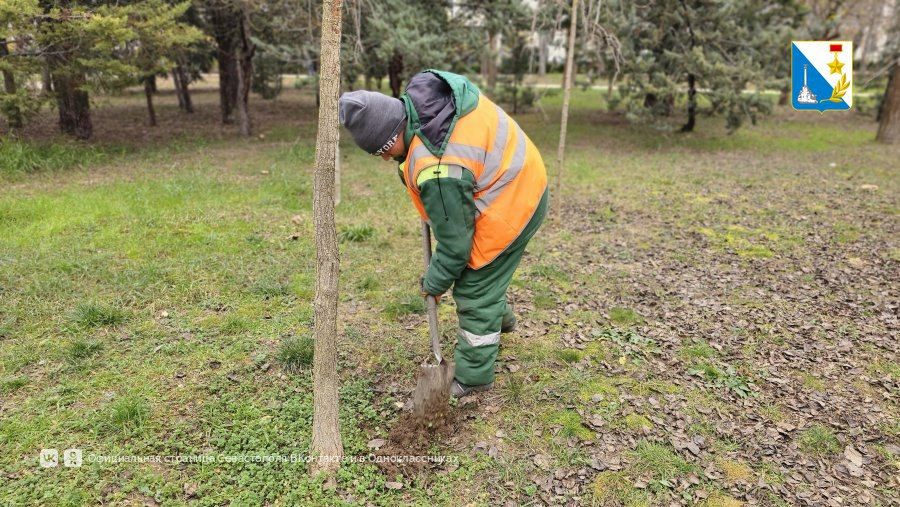 ����������� ������� � ������� ��������� ������� ����������� � �������� � ������ 60-����� ����