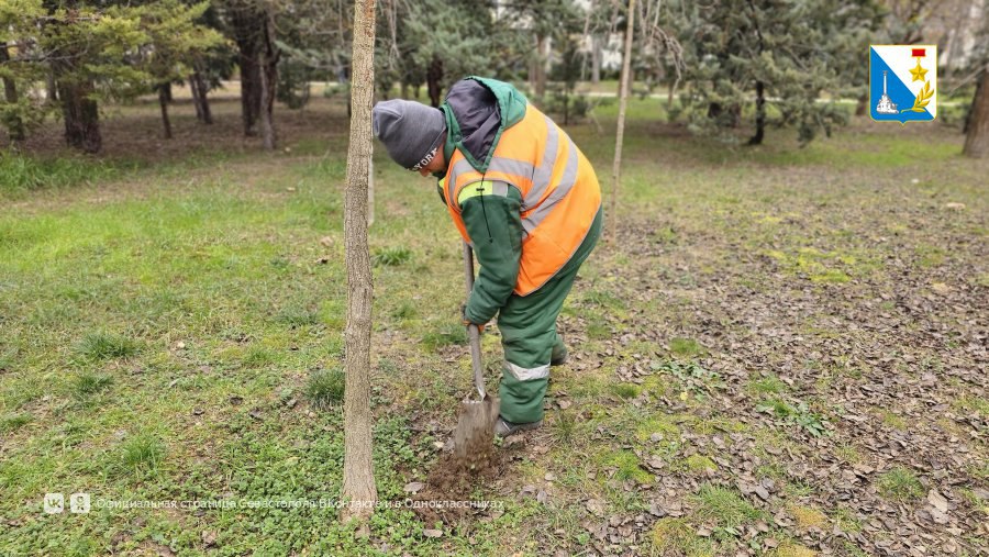 Специалисты «Парков и скверов» завершают высадку кустарников и деревьев в сквере 60-летия СССР Специалисты «Парков и скверов» завершают высадку кустарников и деревьев в сквере 60-летия СССР