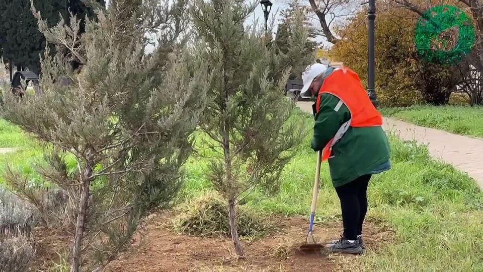 ����� ������ �������� ������� ��������� �������