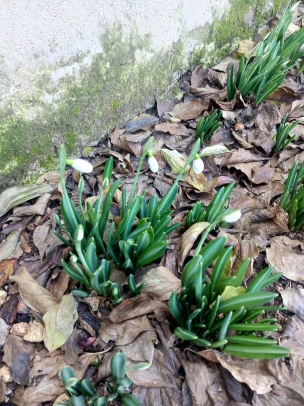 0 � ������ ����������� �����!