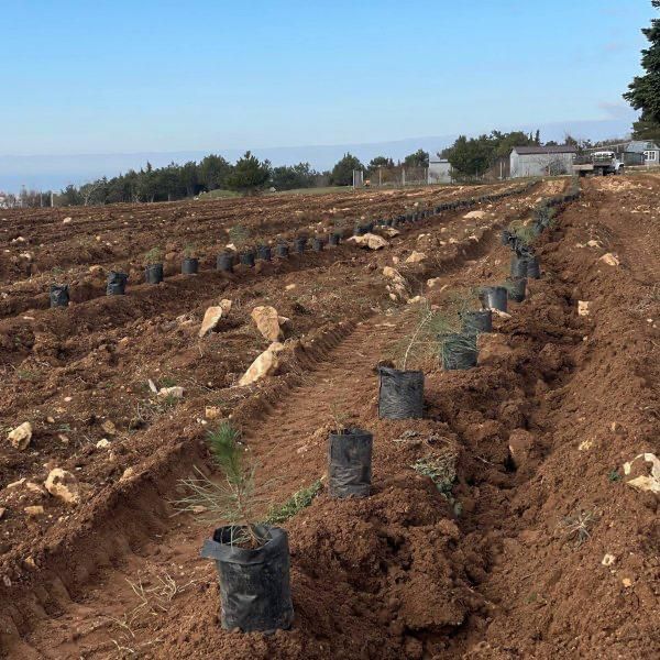 ����� ���� ����� �������� ����� �������� � �����������