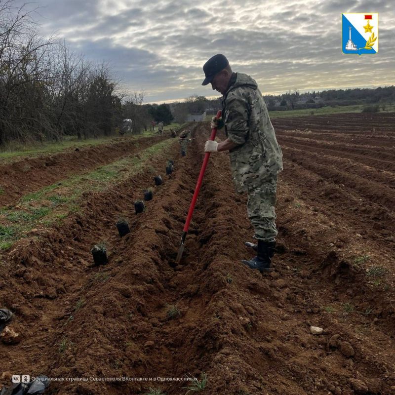 ������ ���� ����� ������� �������� ����� �������� ����������� � ���������������