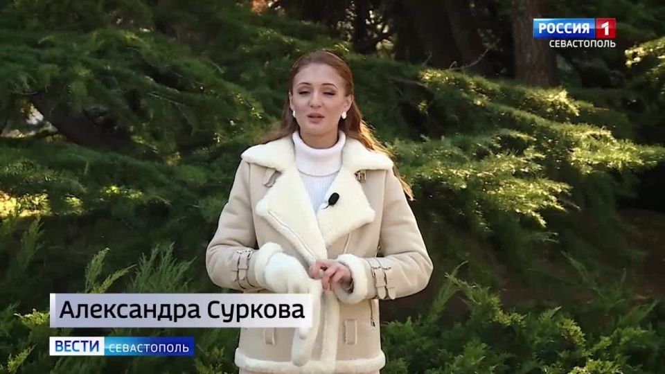 �������� ��� �������� ������ ��������� � 6:35, 7:35 � 8:35!