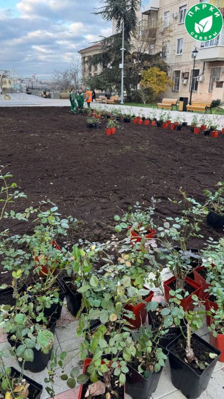 � ������ �������� ������������ ������ ����������� ��������� ������� ������ ���