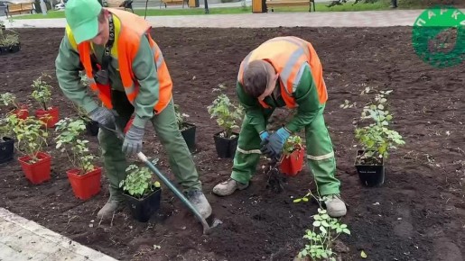 � ������ �������� ������������ ������ ����������� ��������� ������� ������ ���