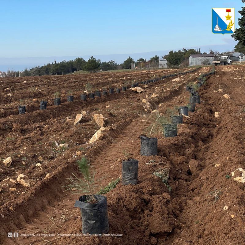 � ��������������� ����������� �������� ����� ��� ����� ������� �������� �����