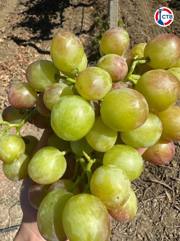 � 2025 ���� 30 �������������� � �������������� ����������� ����������� �������� ������������ �� ����� ����� � 740 ��������� ������