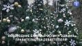 Новогодние ели «выросли» у здания Правительства Севастополя