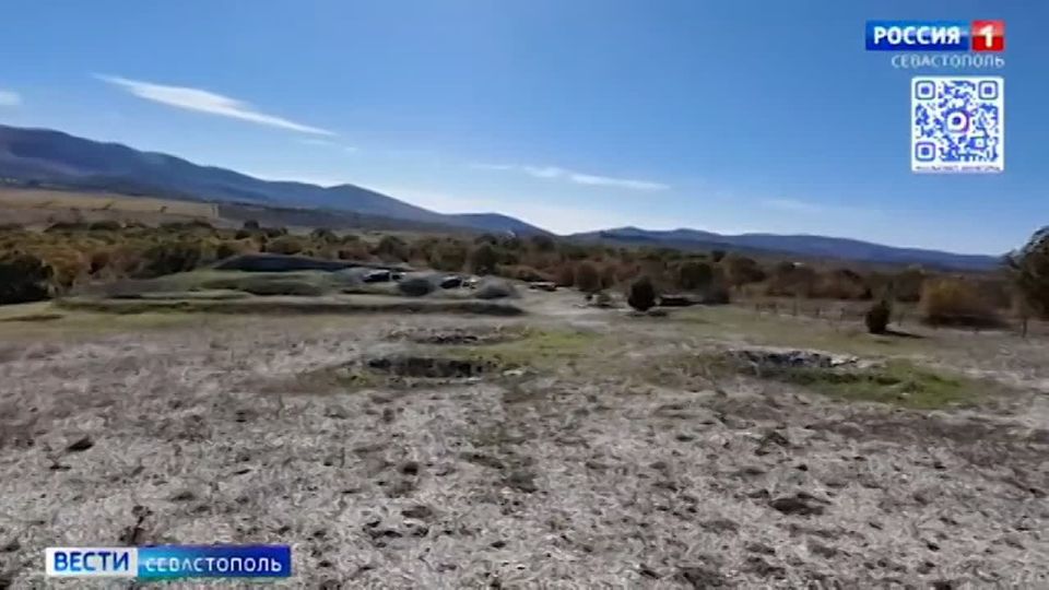 ������ ��������� ������������ � ���������� ��������������� ����������