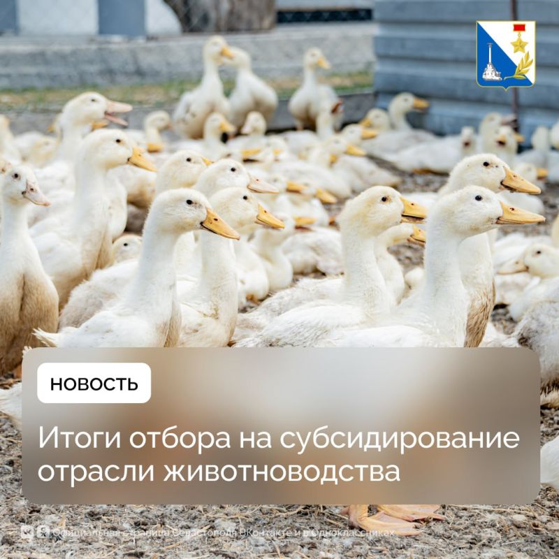 ��� ��������������� ����������� ����� ������������ ������ �� �������� ��� ������������