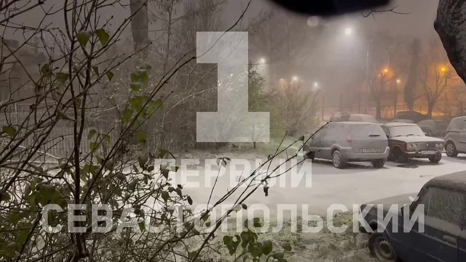 ��������������� ����� �������� ������ ������